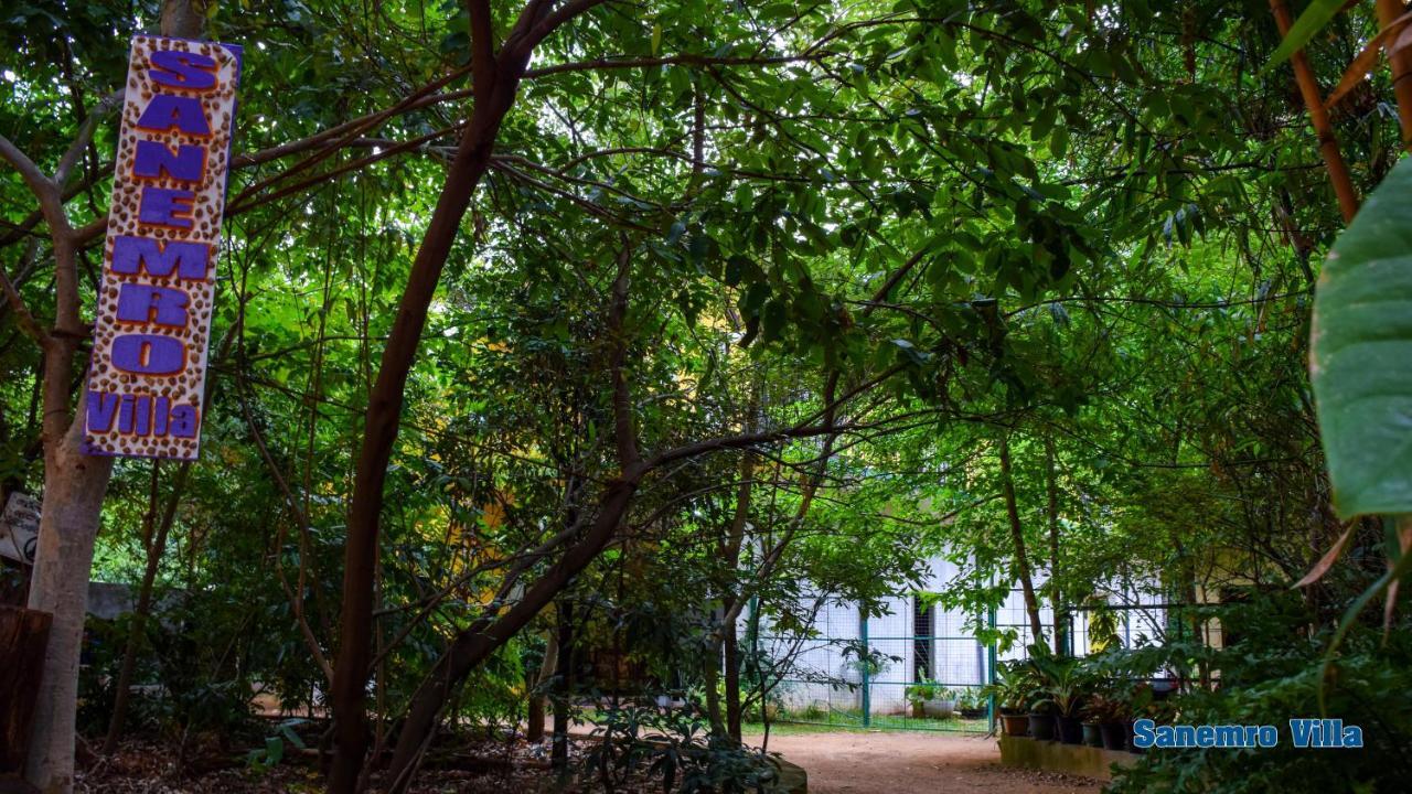 Sanemro Villa Dambulla Exterior foto